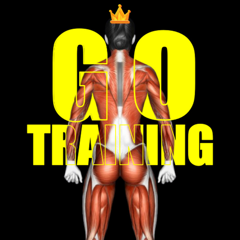 GO TRAINING