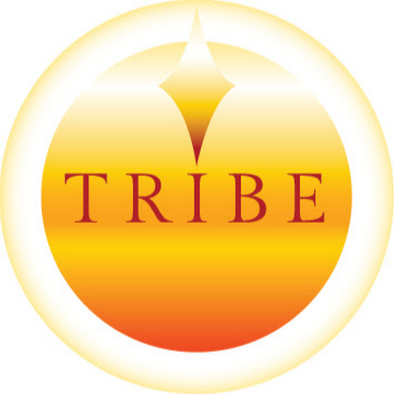 Tribe International Yoga School