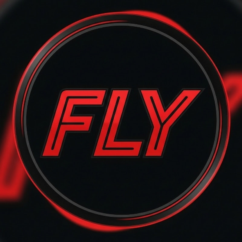 Fly