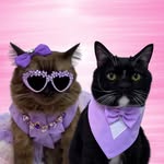 Mocha and Micho