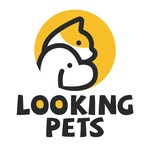 🏷️Looking Pet🏷️