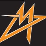 Vienna Metrostars