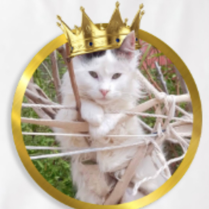 el rey blanco