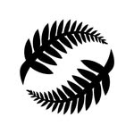 New Zealand Football