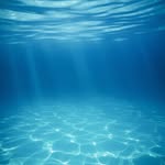 fromthebottomofthepool_