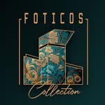 STEREOSCOPY CAMERAS AND VIEWERS  FOTICOS