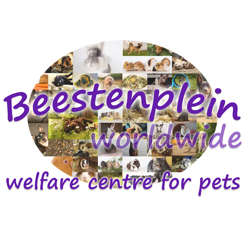 Beestenplein Worldwide