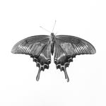 신명준 James Ransom Shin