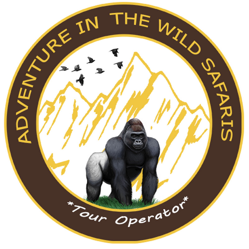 Adventure In The Wild Safaris