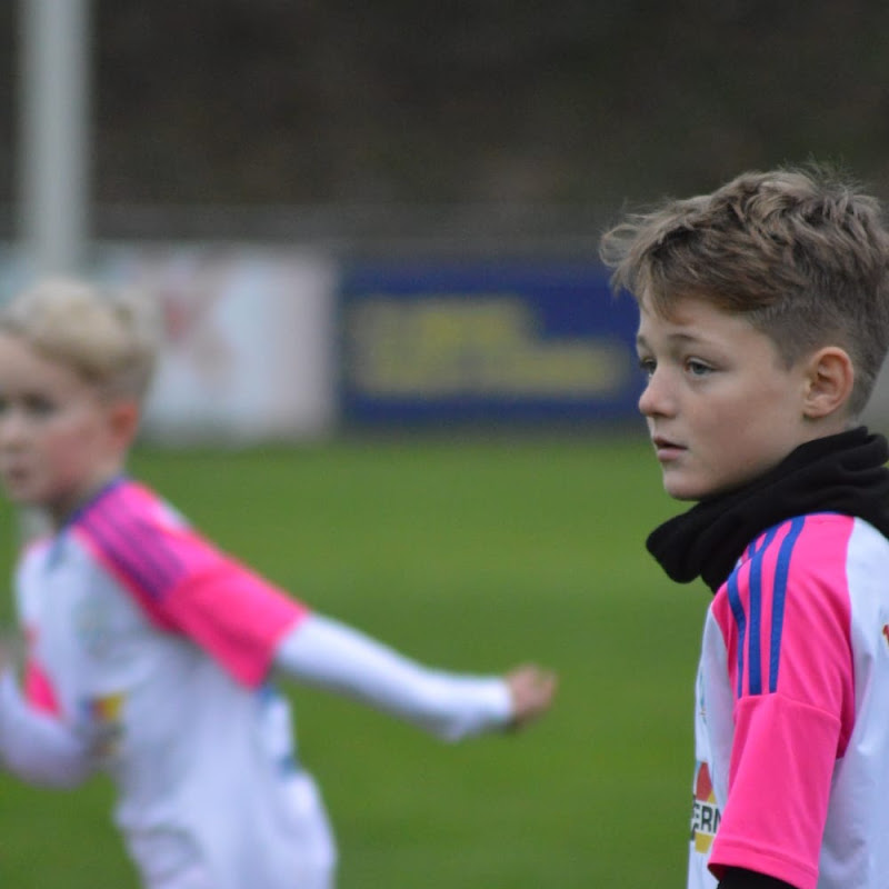 Training mit Nik
