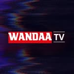 WANDA MAXIMOFF ᱬ | SCARLET WITCH ᗢ