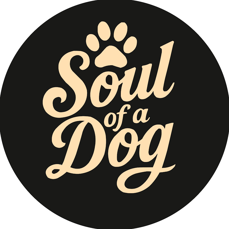 Soul of a Dog