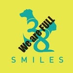 38smiles DXB Animal Rescue