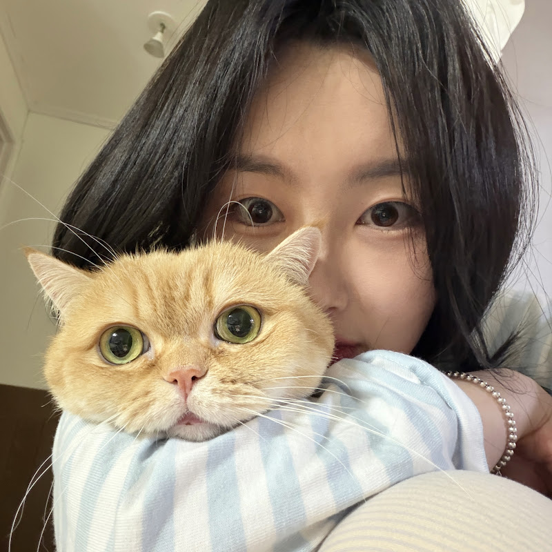 초코파이정 jeong