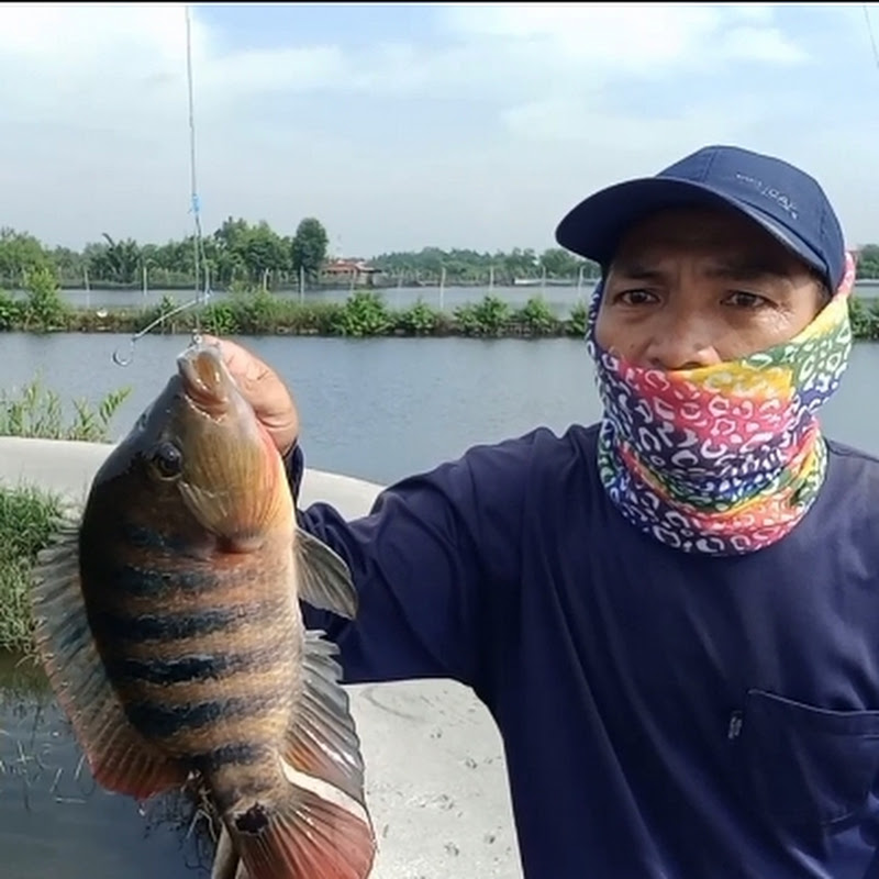 Arman  FISHING Adventure
