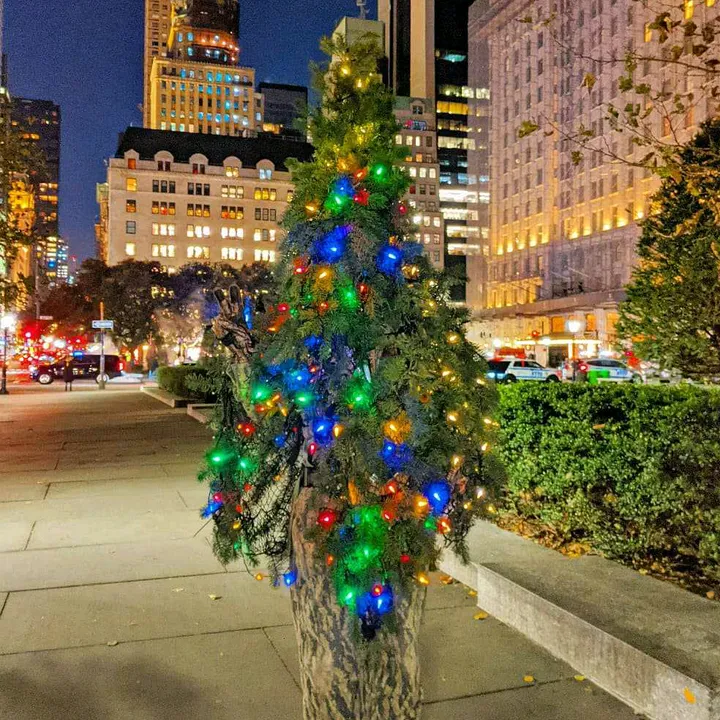 MrXmasTree Lt Evergreen 4REAL!