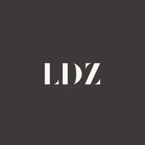 Lidizzy