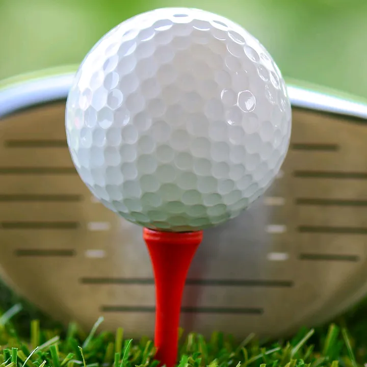 the top golfer world