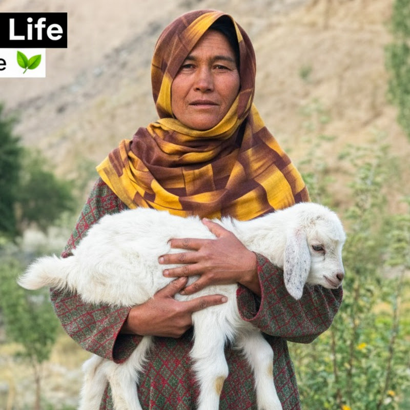 Kohistani Village Life