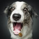 Enzo 🐶 i jego człowieki ❤️🙋🏼‍♀️🙋🏻‍♂️❤️