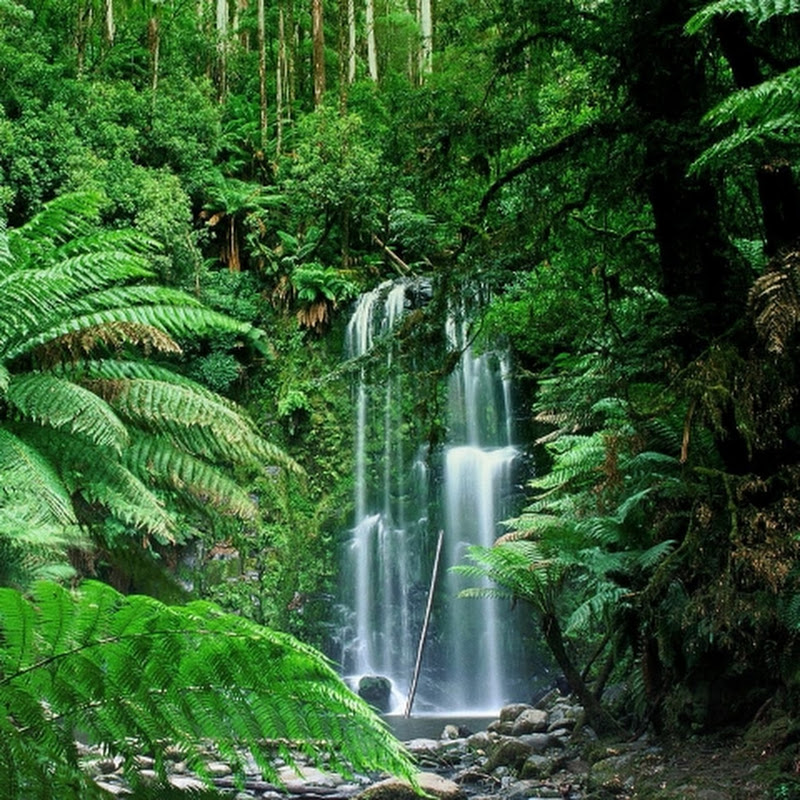 عجائب سورة البقرة