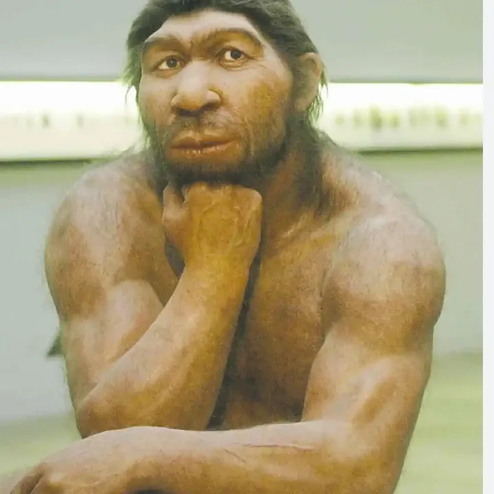 caveman_fix