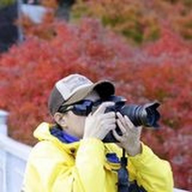 the wanderlust explorer