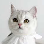 Luna ♡