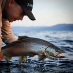 ᴋᴀʀʟ ᴇᴍɪʟ