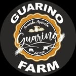 Guarino_Farm_
