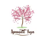 Apamate Yoga & Barre (pilates, ballet, yoga)
