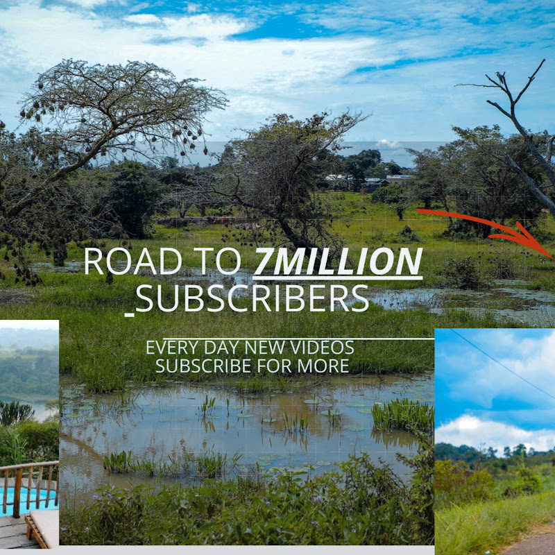 City to City Travel.