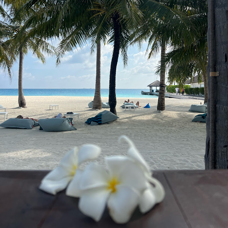 Travel as a lifestyle 