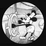 SBW_$MICKEY __follow_4_followback