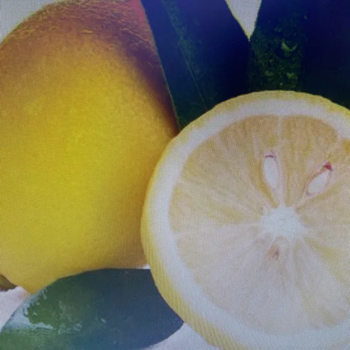 lemon8didi