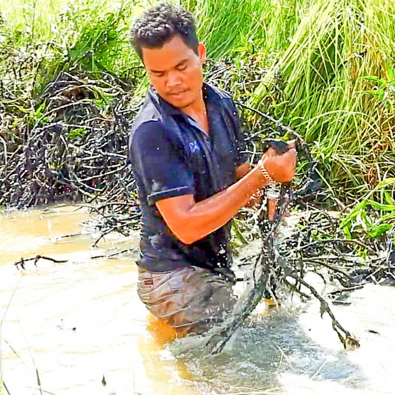 Beaver Dam Removal