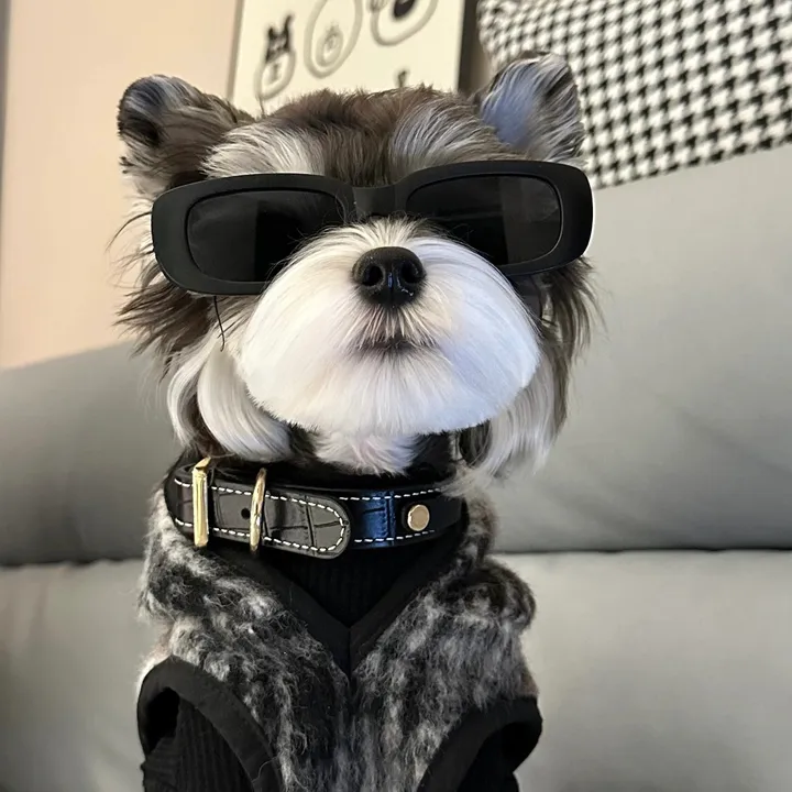 Petlove