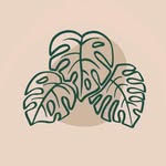 oseaan - natural cosmetics ✺