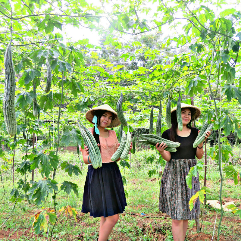 Beautiful Life With Joan & Aimee