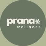 Prana Wellness | Providencia