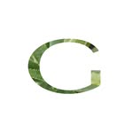GRACE COSMETICS SKINCARE