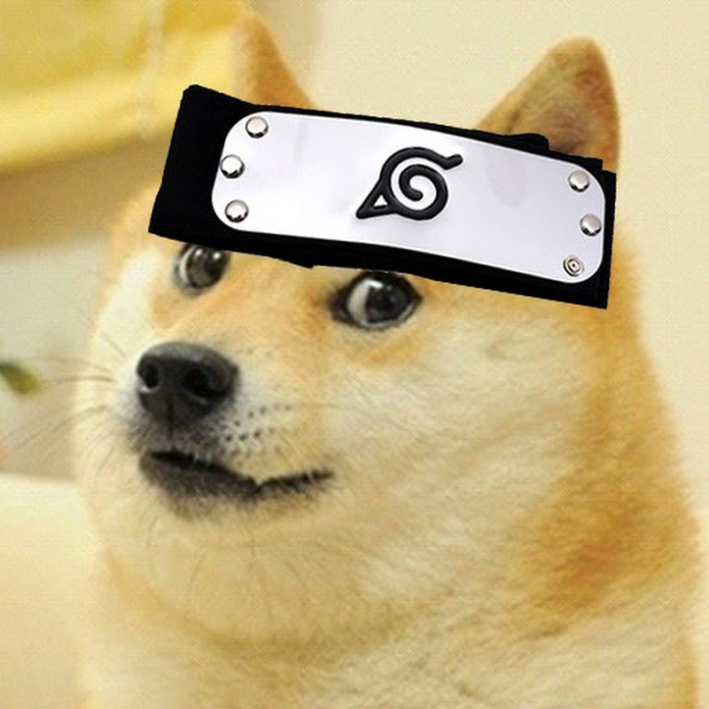 Doge Ninja