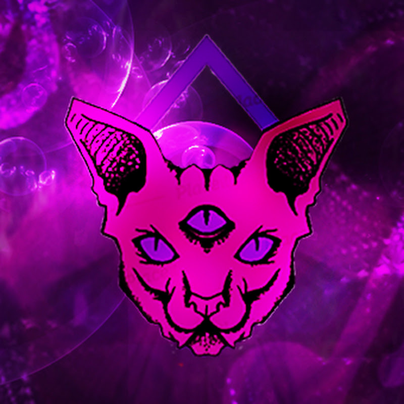 Oski Szum Official