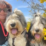 Lotje-OES_ Murphy-Beardie