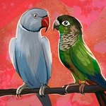 Milo & Coco’s Adventures