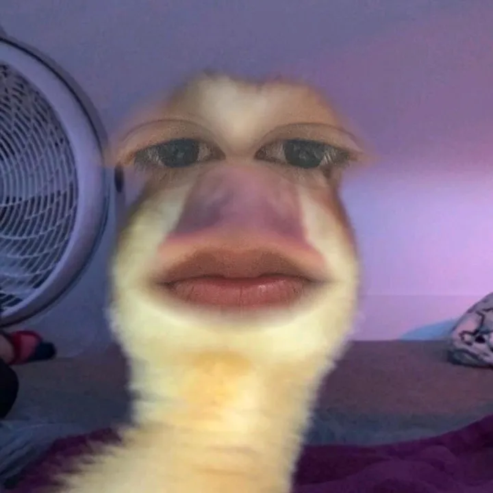 Moh4medxz7