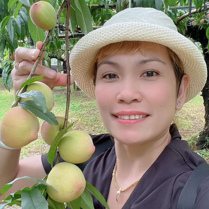 Thảo Family Cuộc Sống Đài Loan 