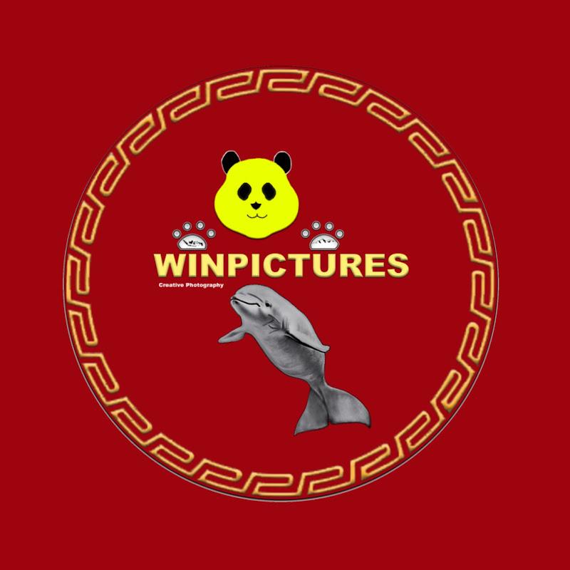 wincapture