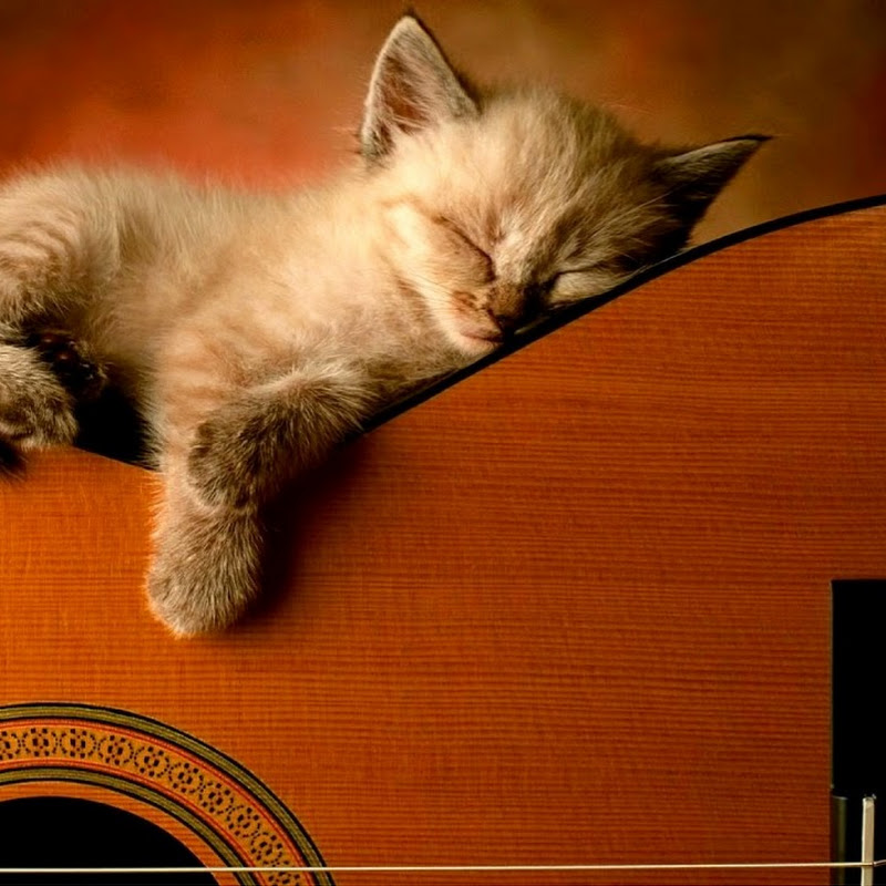 Relaxing Guitar Music