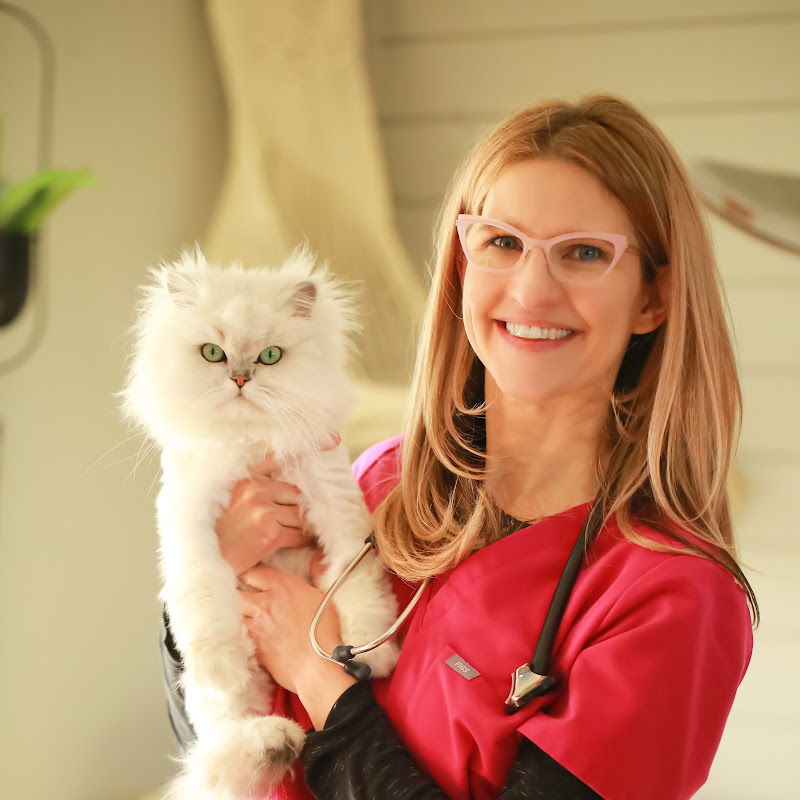 Dr. Angie Krause
